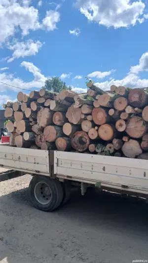 lemn de foc - imagine 3