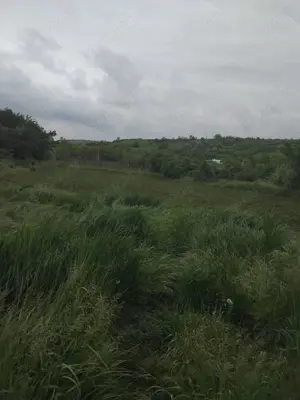 Teren de vânzare intravilant 26euro negociabil 