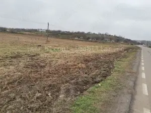 Teren Intravilan  17.000 mp Malcoci   Tulcea cu PUZ si utilitati - imagine 5