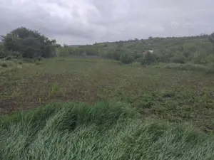 Teren de vânzare intravilant 25euro negociabil 