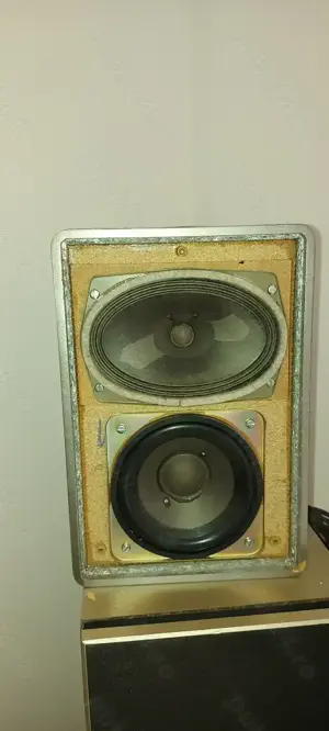 Boxe Rft - 25 Watt , 4 Ohm 