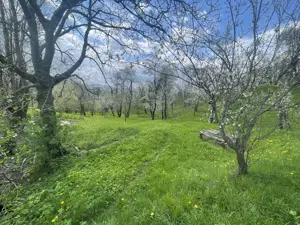 Teren de vânzare în Șotrile (vecinătate cu Brebu, Valea Doftanei, Câmpina) - imagine 2