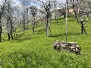 Teren de vânzare în Șotrile (vecinătate cu Brebu, Valea Doftanei, Câmpina) - imagine 4