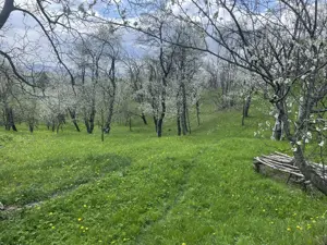 Teren de vânzare în Șotrile (vecinătate cu Brebu, Valea Doftanei, Câmpina) - imagine 3