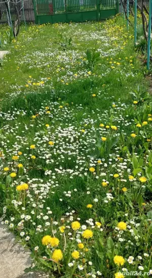 vand casa de vacanta - imagine 6