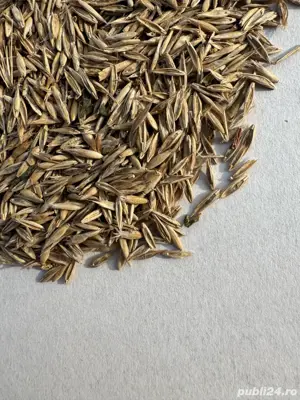 Vand samanta amestec de iarba 