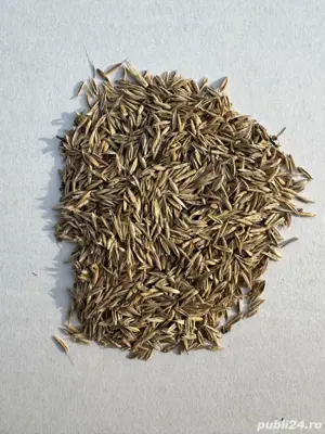 Vand samanta amestec de iarba  - imagine 3