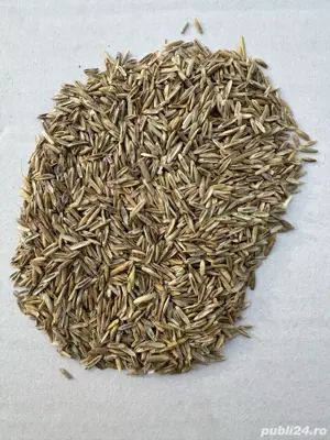 Vand samanta amestec de iarba  - imagine 2