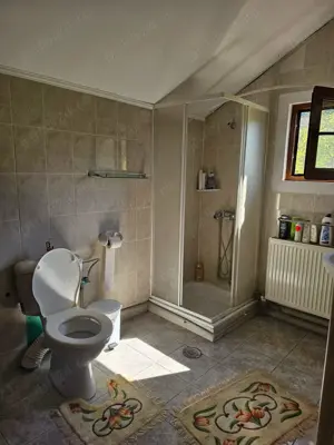 Vand casa vacanta la munte zona Herculane 165 000   - imagine 6