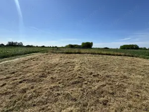 Teren de vanzare Sanpaul