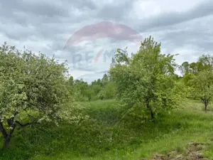 Teren 20,876mp Breb / Drumul Principal - imagine 6