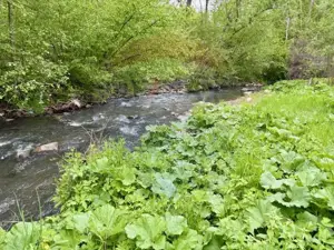 Teren 20,876mp Breb / Drumul Principal - imagine 8