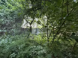 Casa individuala din caramida, 712mp teren, zona Traian - imagine 2