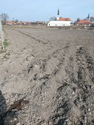 Vând gradina in socodor 