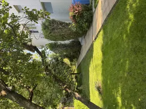 Vând proprietate deosebită în Bragadiru-Prelungirea Ghencea. - imagine 9