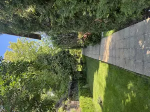 Vând proprietate deosebită în Bragadiru-Prelungirea Ghencea. - imagine 7