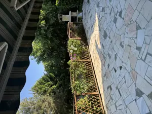 Vând proprietate deosebită în Bragadiru-Prelungirea Ghencea. - imagine 4