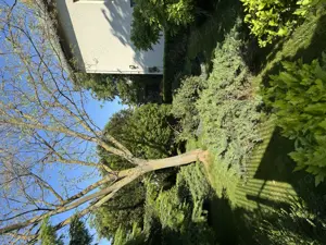 Vând proprietate deosebită în Bragadiru-Prelungirea Ghencea. - imagine 10