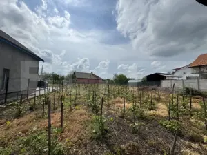 Casă la roșu Filiași, 232 mp, teren generos 1842 mp, investiție ideală - imagine 5