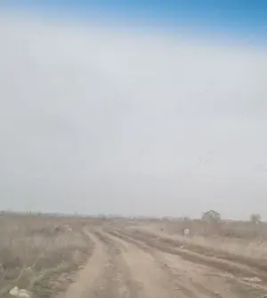 Vanzare Teren intravilan 5000mp Magurele  - imagine 4