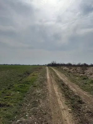 Vanzare Teren intravilan 5000mp Magurele  - imagine 8