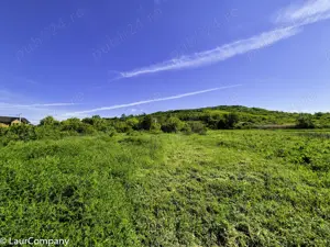 Teren intravilan Vranesti , Calinesti Arges - imagine 3