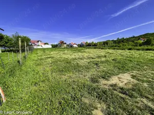 Teren intravilan Vranesti , Calinesti Arges