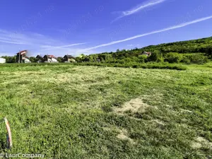 Teren intravilan Vranesti , Calinesti Arges - imagine 4