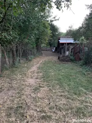 teren intravilan comuna izvoarele sat homoraciu prahova  - imagine 4