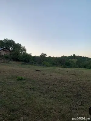 teren intravilan comuna izvoarele sat homoraciu prahova  - imagine 3