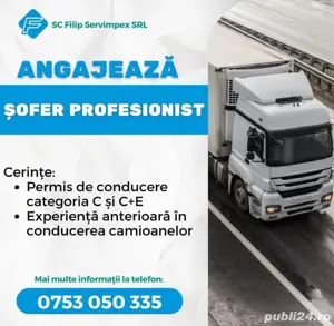 Angajam sofer profesionist 