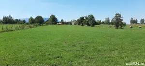 Teren 9350 mp Bran Livada, Extravilan - imagine 5