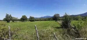 Teren 9350 mp Bran Livada, Extravilan - imagine 2