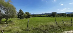 Teren 9350 mp Bran Livada, Extravilan - imagine 4