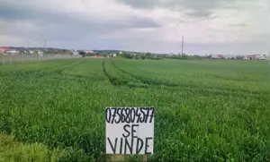 Vând teren intravilan