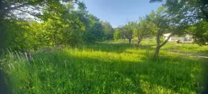 Teren intravilan Piscani