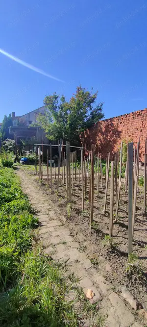 Apartament 2 camere Bălcescu de vânzare  - imagine 15