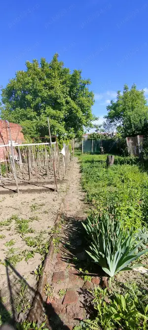 Apartament 2 camere Bălcescu de vânzare  - imagine 16