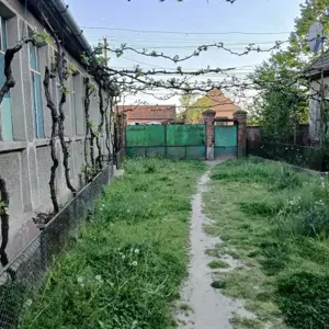 Casa si gradina de vanzare in Hitias la strada principala - imagine 7