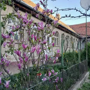 Casa si gradina de vanzare in Hitias la strada principala - imagine 8