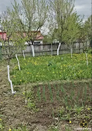 vand casa de vacanta - imagine 7