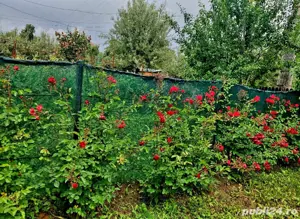 vand casa de vacanta - imagine 9