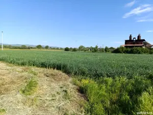 vinzare teren intravilan - imagine 4 vinzare teren intravilan - imagine 4