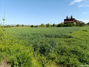 vinzare teren intravilan