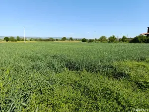 vinzare teren intravilan - imagine 5 vinzare teren intravilan - imagine 5