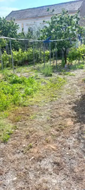 Blitz va ofera spre vanzare casa in Covăsânț - imagine 13