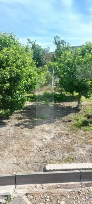 Blitz va ofera spre vanzare casa in Covăsânț - imagine 14