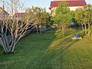 Vând 2 loturi comuna Berceni - imagine 6