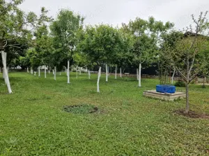 Vând 2 loturi comuna Berceni - imagine 9