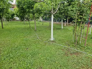 Vând 2 loturi comuna Berceni - imagine 7